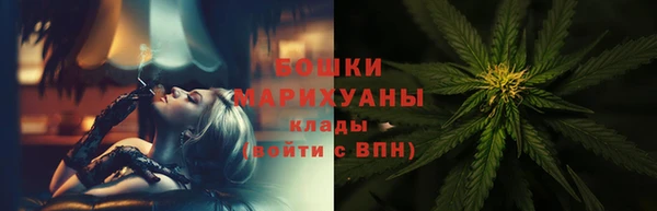 гидра Алексин