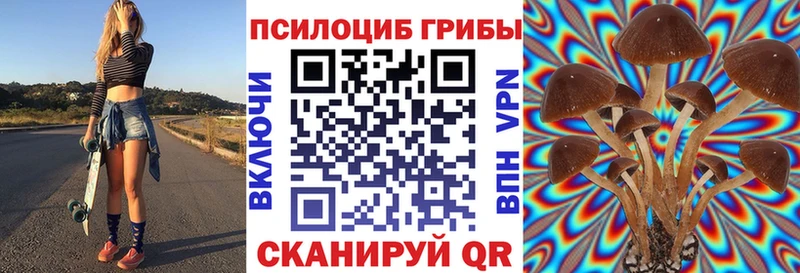 Галлюциногенные грибы Cubensis  Морозовск 