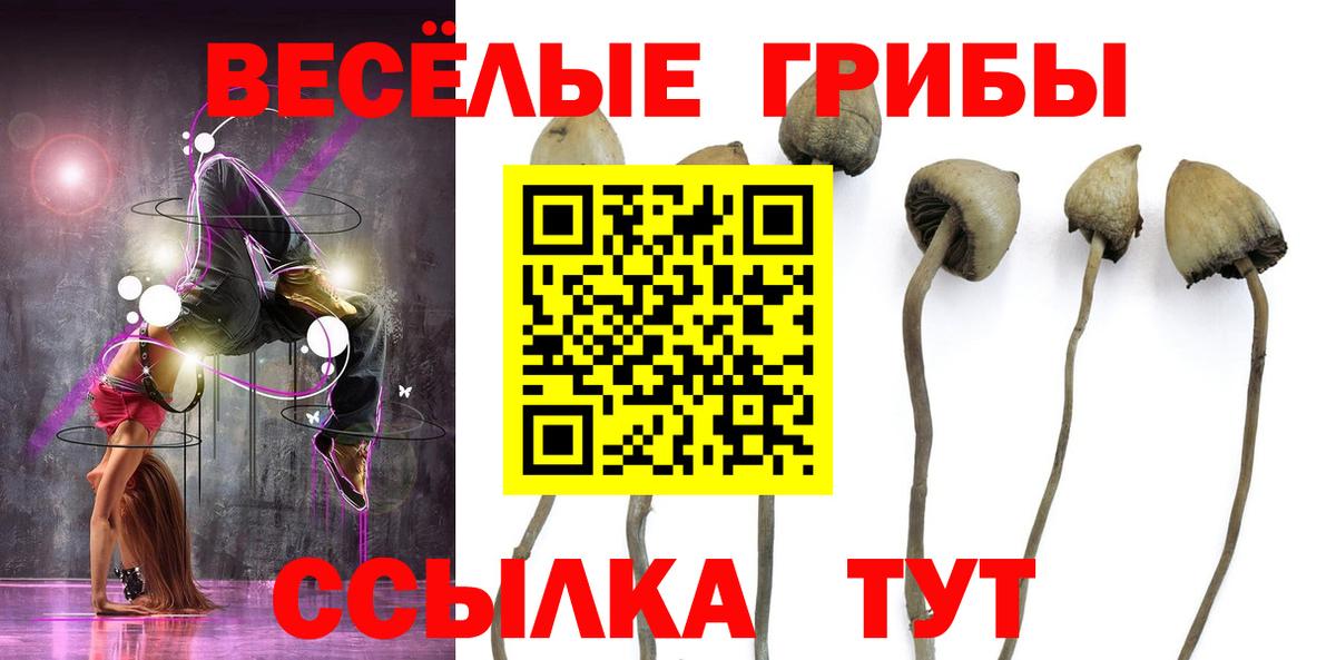 Псилоцибиновые грибы прущие грибы Морозовск